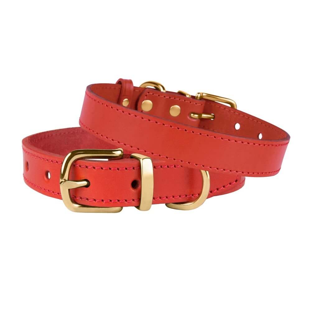 Red Dog Collar