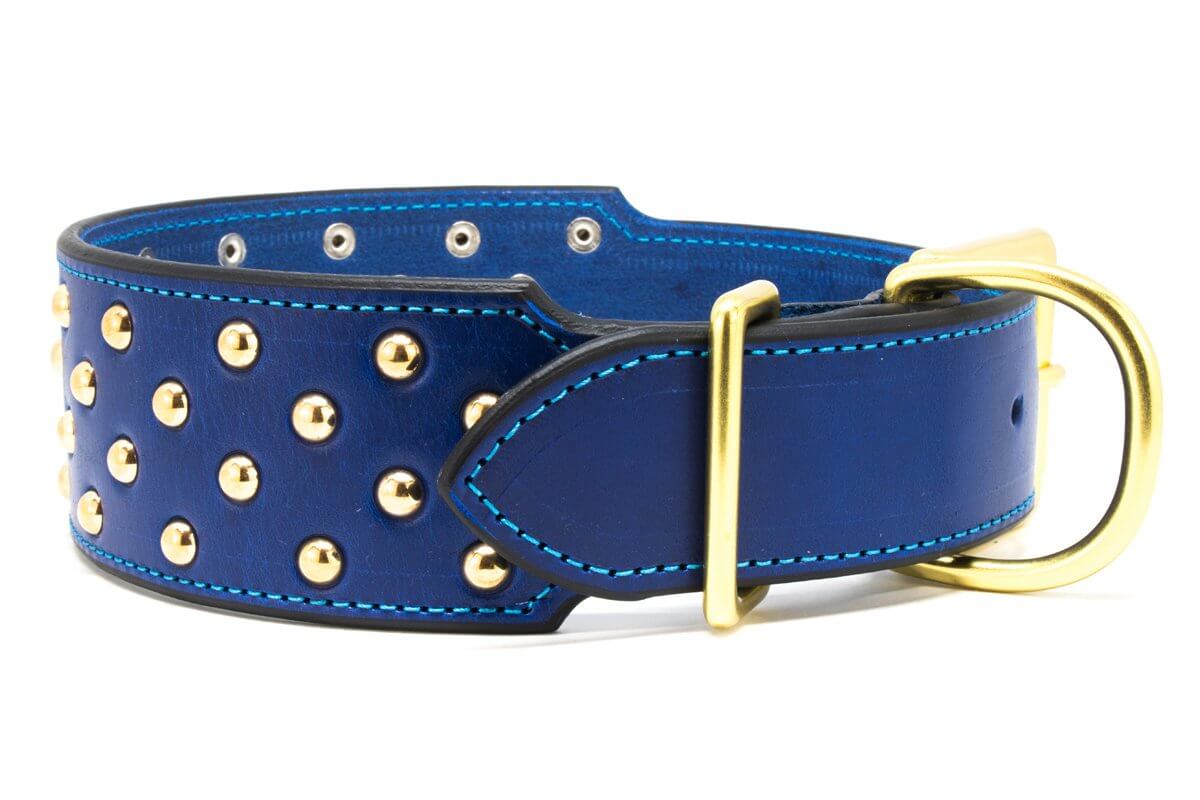 Fancy Dog Collar